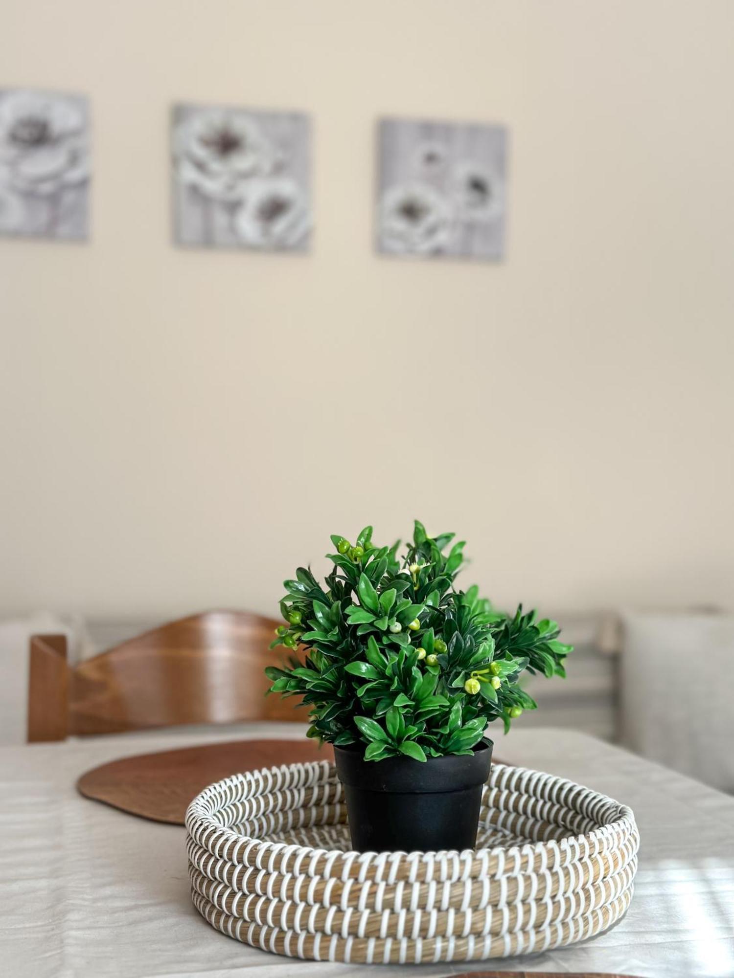 Ground Apartment Alexandroupoli Exterior photo
